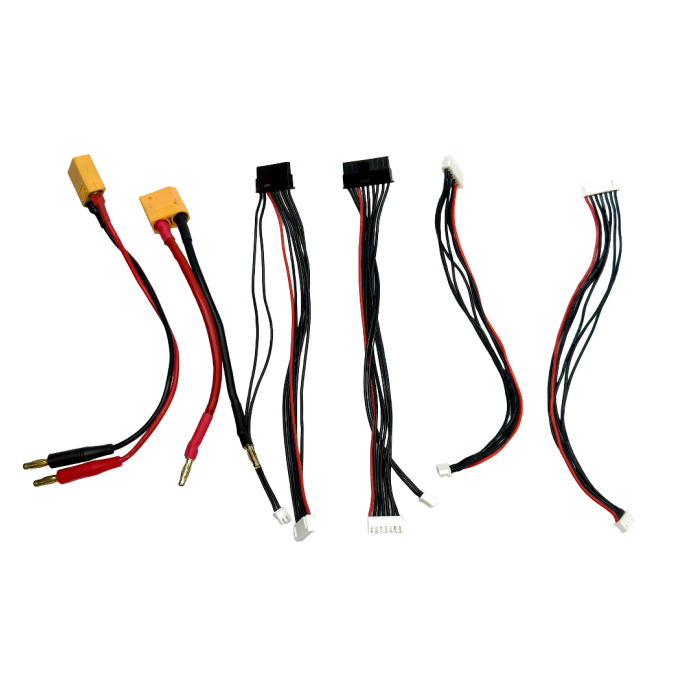 SKYRC EFUEL ZASILACZ 50A 1200W USB DC 15-30V PFC + Ładowarka RAYTRONIC C60